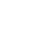 Blank white background.